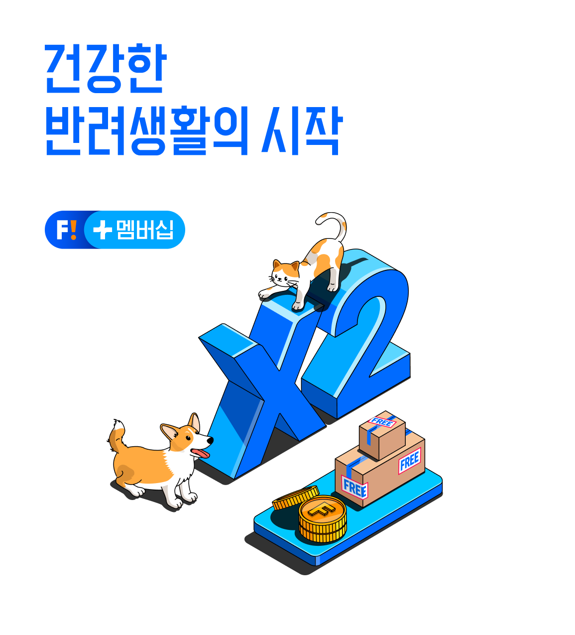 widget_content